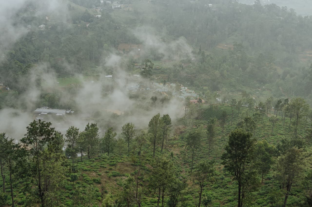 Превью Sri Lanka 2022